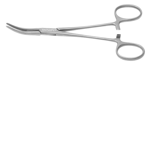 Artery Forceps Curved-8 inch